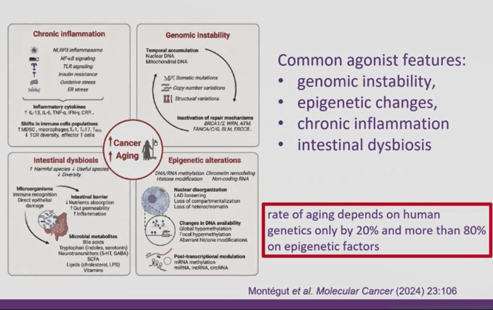 Старение клеток и рак: как биологический возраст влияет на риски онкологии