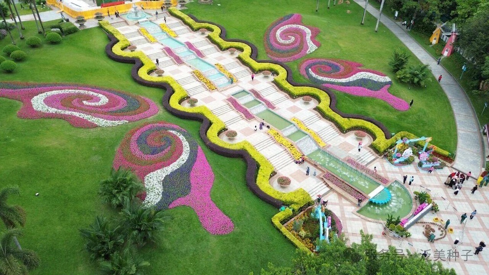 Единение с природой, исцеление души: пациенты международного онкологического центра отправились на теплую экскурсию в сад «Юньтай»