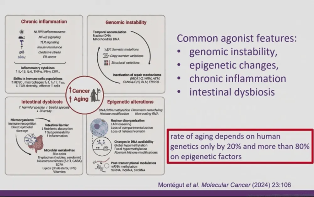 Старение клеток и рак: как биологический возраст влияет на риски онкологии