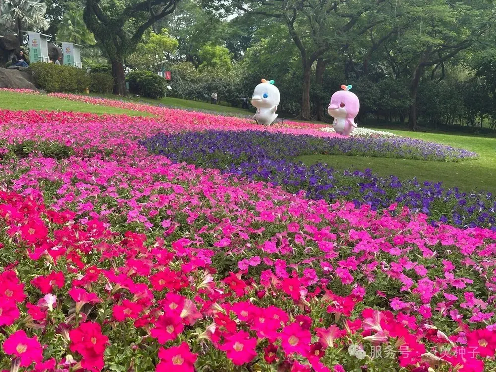 Единение с природой, исцеление души: пациенты международного онкологического центра отправились на теплую экскурсию в сад «Юньтай»