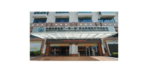 Облегчение боли, улучшение качества жизни и продление выживаемости